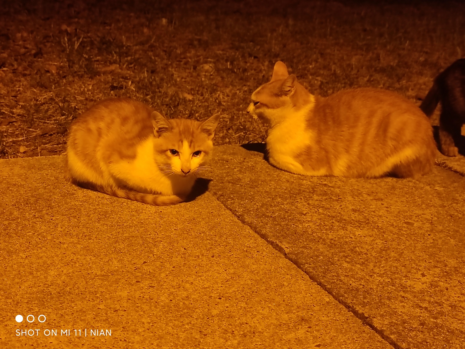 【科幻虚构】近线攻击-0x03 风和日丽，风起云涌